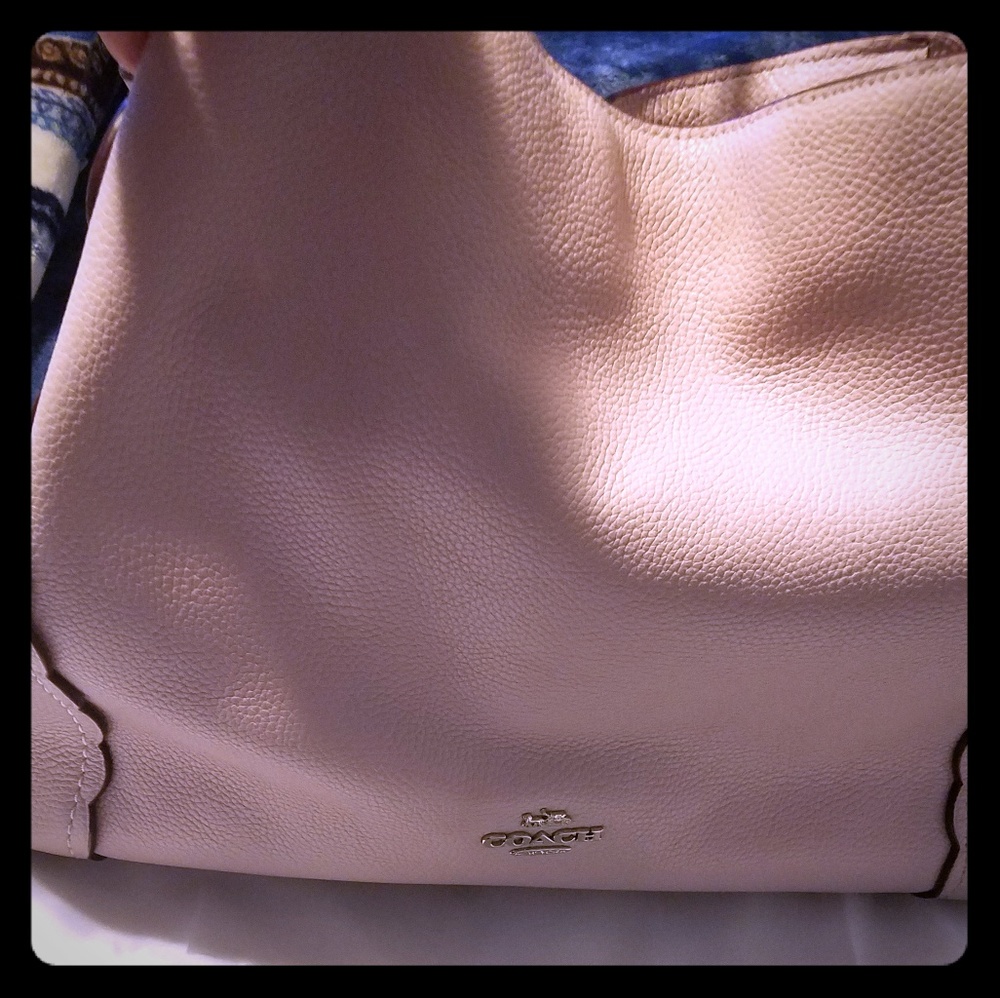 purse